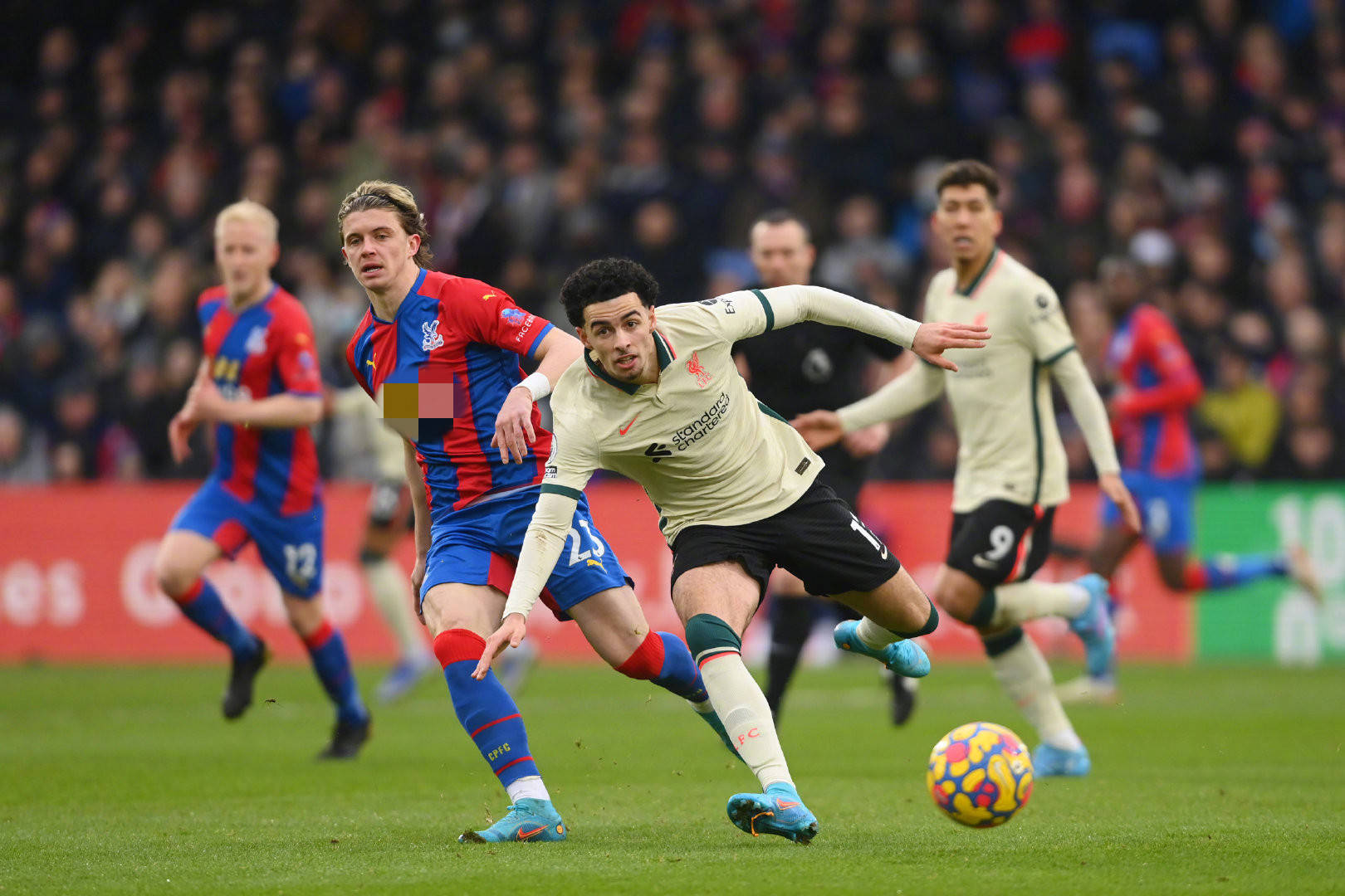 懈地专注比 懈地专注比